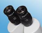 20X/10mm Eye Pieces(Pair)